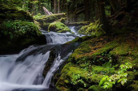 Fondos De Pantalla Paisaje Cascada Naturaleza R O Desierto Selva