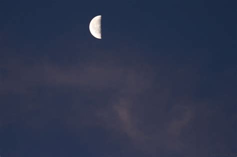 The Natural History of Bodega Head: Sunrise moon