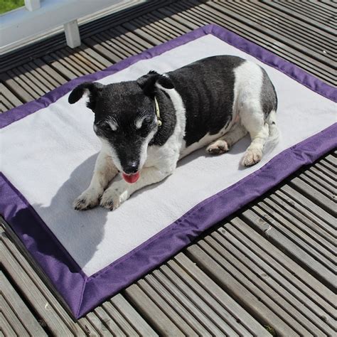 Purple Dog Bed - Etsy