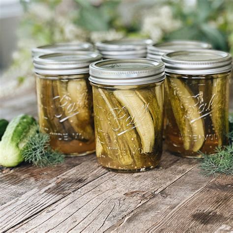 Reduced Salt Dill Pickles Recipe Ball® Mason Jars Pickling Recipes Canning Recipes Ball