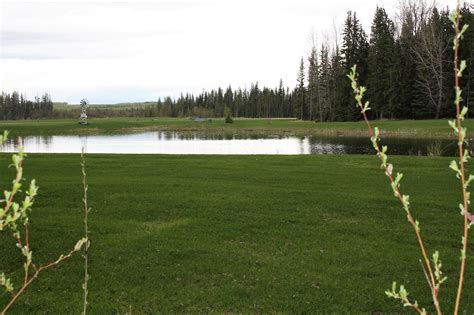 33 Silver Springs Dr. Buck Lake AB., Buck Lake, Alberta, by Margaret ...