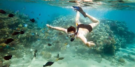 Best Scuba Diving Places In Pondicherry Echo Villa Home Stay