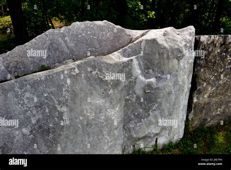 Textured Marble Is From The Oldest Marble Quarry In The Us In Dorset