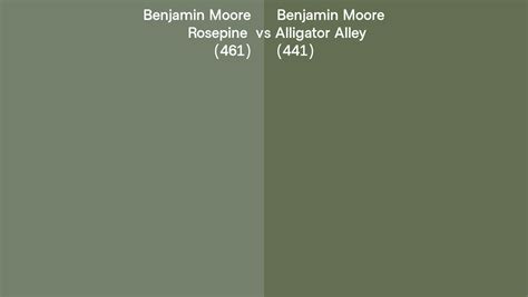 Benjamin Moore Rosepine Vs Alligator Alley Side By Side Comparison