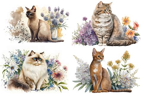 The Watercolor Cat Collection By Artsy Fartsy Thehungryjpeg