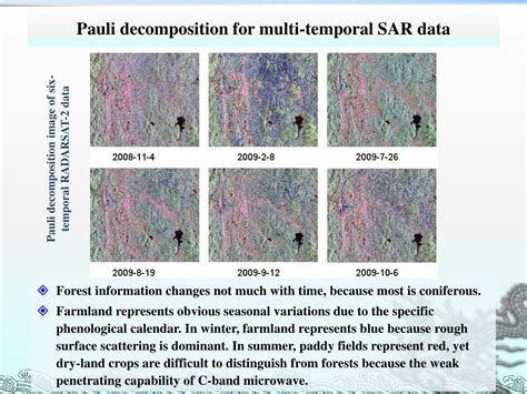 PPT Forest Mapping Using Multi Temporal Polarimetric SAR Data In