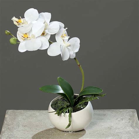 Orchidée phalaenopsis artificielle en coupe céramique H 25 cm du site