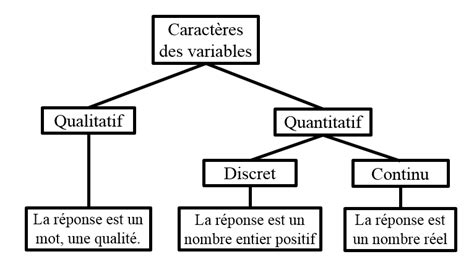 Les Types De Caractères Des Variables Alloprof