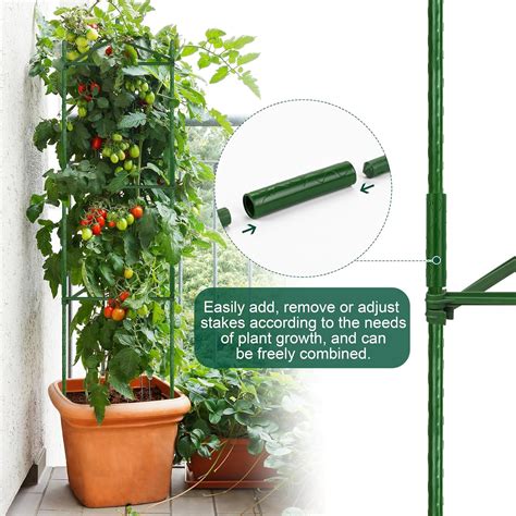 Hahood Paquete De Jaulas De Tomate Para Plantas De Hasta Pulgadas