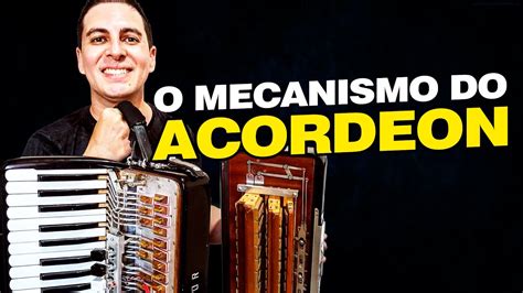 Como Funciona Um Acordeon Entendendo Seus Elementos Youtube