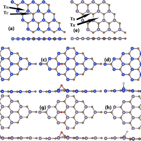 Optimized Atomic Structure Of A Bare B H C O And D Download Scientific Diagram