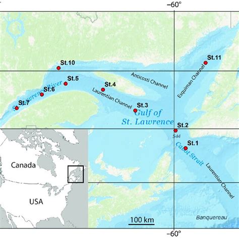 Estuary And Gulf Of St Lawrence With Stations 1 To 11 The Black Box Download Scientific