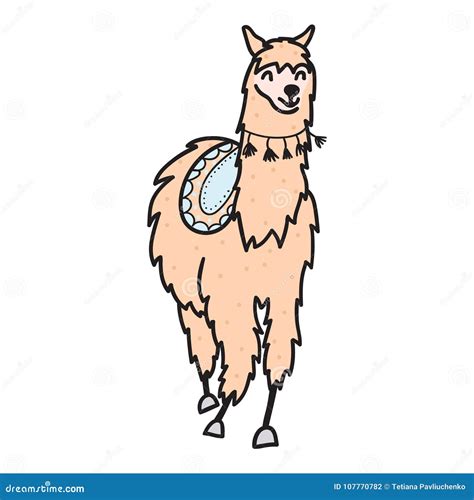 Hand Drawn Peru Animal Alpaca Vicuna Stock Vector Illustration Of
