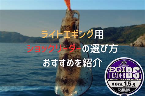 ライトエギング用ショックリーダーの選び方andおすすめを紹介 釣りいきたい