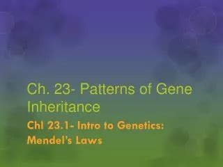 PPT Patterns Of Single Gene Inheritance Cont PowerPoint Presentation