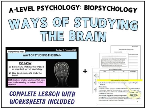 A Level Psychology Ways Of Studying The Brain Biopsychology Topic