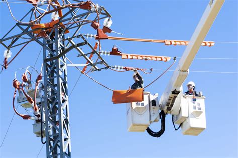 Protectores Avifauna Eiffage en España