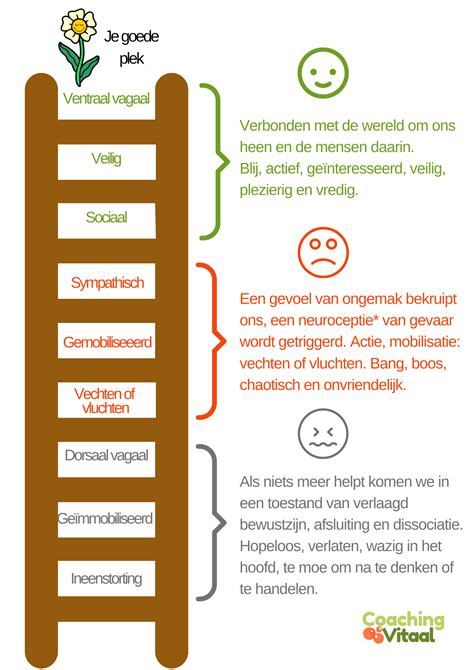 De kracht van intuïtie in het maken van beslissingen