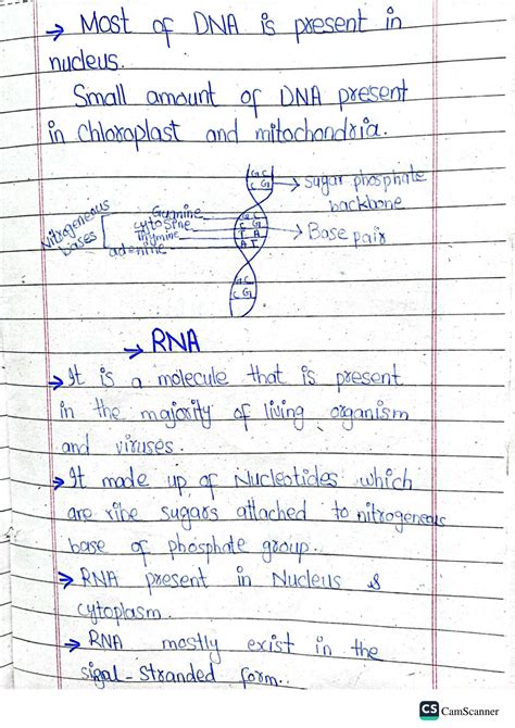 Solution Nucleic Acid Types Of Nucleic Acid Nucleotides Types Of