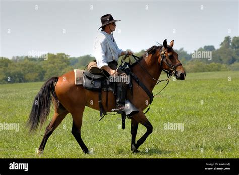 Soldier And Horse High Resolution Stock Photography and Images - Alamy