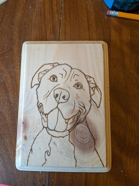 Impressionistic pitbull made with pyrography and acrylic paint : r