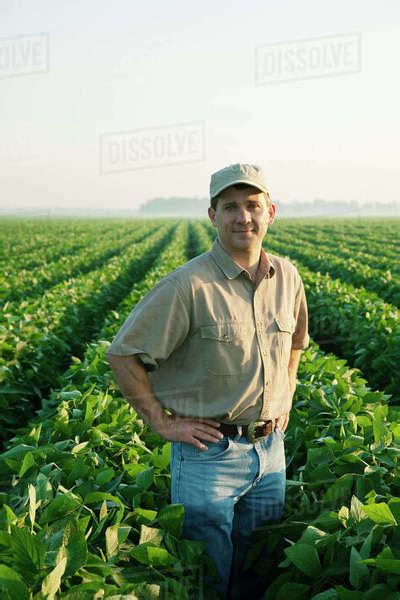 Agriculture A Farmer Grower Poses In His Mid Growth Soybean Crop At