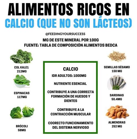 Tabla De Alimentos Ricos En Calcio Diyoont