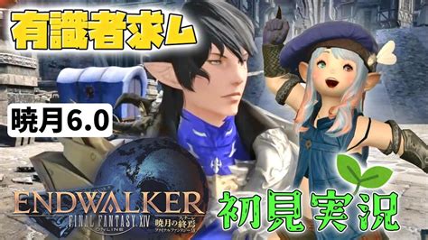 【暁月初見実況】 完全初心者初見わかばヒカセンが大人気オンラインrpgfinal Fantasy Xivを初見プレイ＃ 198 Youtube