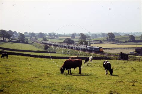 The Transport Treasury Class 44 45 46 Peak TDUK1979 644 UK BR