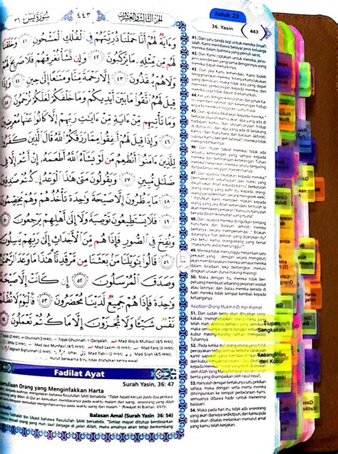 Al Quran Tajwid Dan Terjemahan Rasm Uthmani Must Read A5 TAGGING