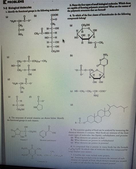 😱 Biomolecules Elements Biomolecules Meaning Types Functions Structure 2022 10 19