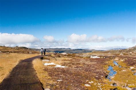 Premium Photo Hikers Walk On The Kosciuszko Walk Near The Summit Of