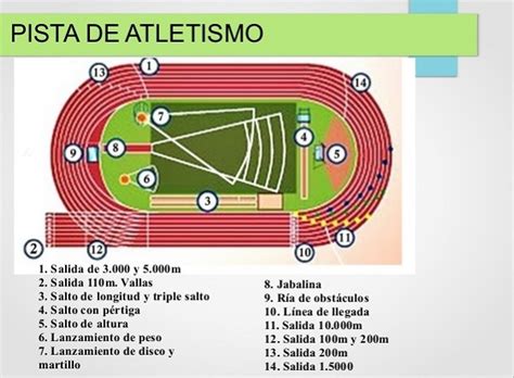 TOMi Digital Eventos De Pista Del Atletismo