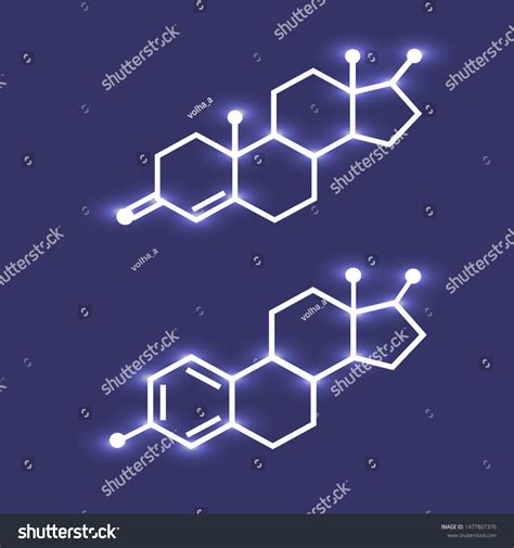 Testosterone Estradiol Chemical Formulas Hormones 스톡 벡터 로열티 프리