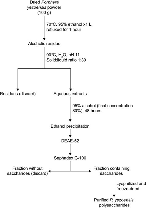 Flowchart For Porphyra Yezoensis Polysaccharide Extraction And Download Scientific Diagram