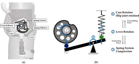 Biomimetics Free Full Text Development Of Quasi Passive Back