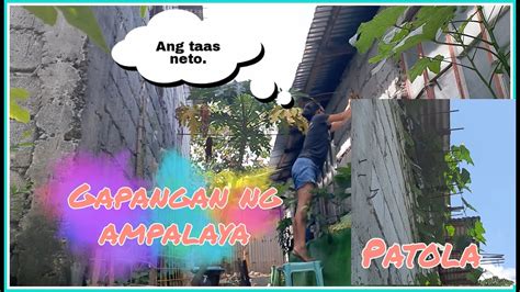 GAWA TAYO NG GAPANGAN NG AMPALAYA HELLO PATOLA Shirley Parks Vlogs