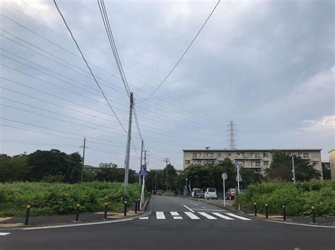 横浜時報 On Instagram “この道を真っ直ぐに行くと、新幹線のあるトンネルへ突き抜けることができます。 左横の雑草群が、もともとは阿久和小学校の畑と、そして砂利道があったところです