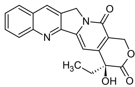 Camptothecin, DNA topoisomerase inhibitor (CAS 7689-03-4) (ab120115 ...