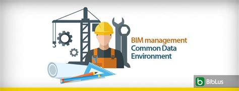 BIM Management Das CDE Common Data Environment BibLus