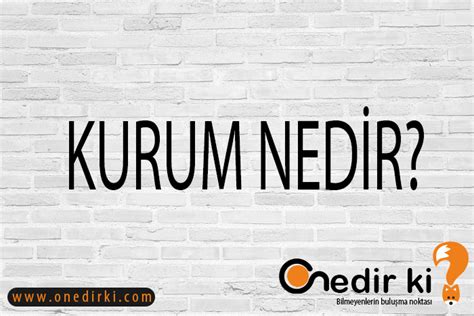 KURUM NEDİR Ne Demek Zıt Anlamı Eş Anlamı