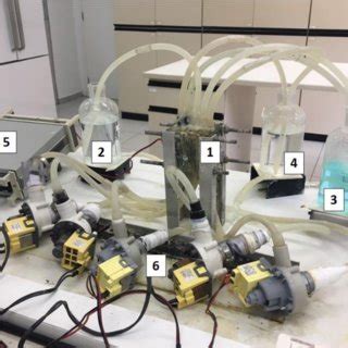 A typical electrodialysis system with cation exchange membranes (CEMs ...