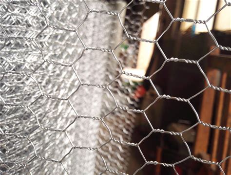 Hexagonal Wire Mesh Chicken Wire Mesh Flange