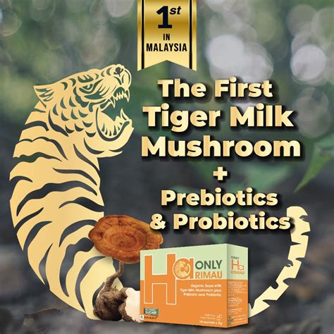 NEW OnlyHarimau Tiger Milk Mushroom Prebiotic Probiotic Supplement