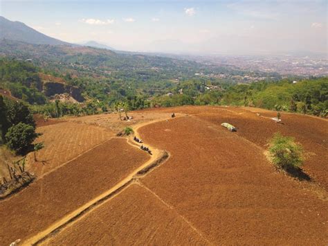 Solusi Perubahan Iklim Dengan Mengolah Tanah Pertanian