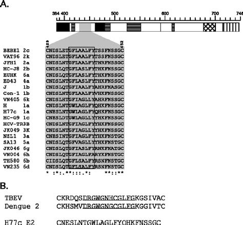 A ClustalW Alignment Of Prototype Strains Representative Of Each HCV