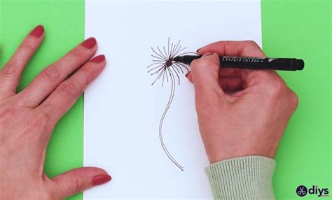 How To Draw A Dandelion