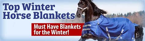 Top Winter Horse Blankets - Horse.com