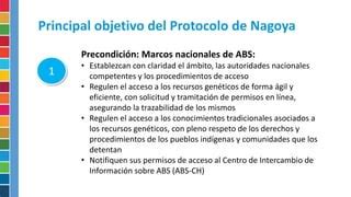 Protocolo nagoya implementación y retos tic comercio PPT