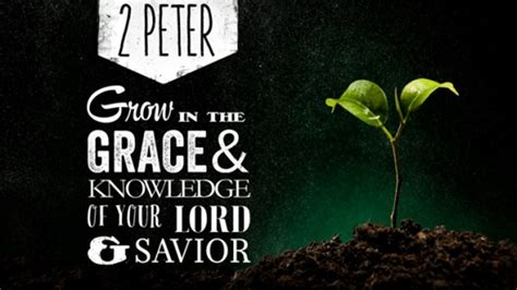 Grow In Grace And In The Knowledge Of Christ Reality Check Daily